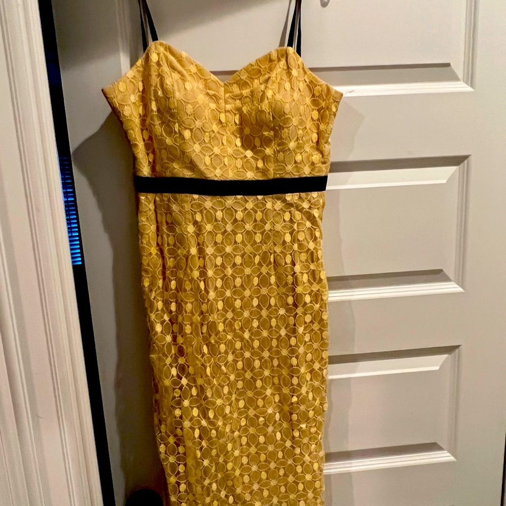 Milly lace dress size 2